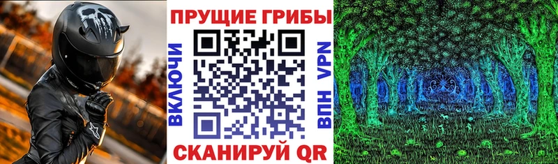 hydra ссылки  Горбатов  Галлюциногенные грибы Psilocybe  наркота 
