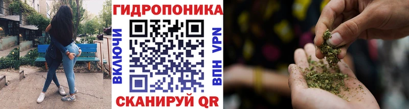 Бошки Шишки THC 21%  Горбатов 